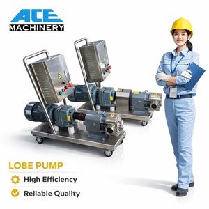 304 316L High Pressure Tomato Transfer Lobe Pump Food Grade - Product Image 4