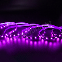 Bande lumineuse LED adressable 60 LED/M 20 pixels DC12V RGB Couleur programmable Contrôle SPI Art-net Bande de pixels flexible IP20