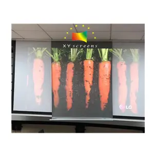 ALR motorized screen XY Black Crystal 80"-170" High contrast 0.8 gain tab tension electric projector screen