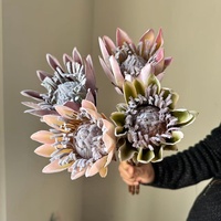 Fleurs artificielles modernes en plastique faites à la main, couleur automne, fleurs de l'empereur, best-seller transfrontalier, haute qualité, durables et réutilisables