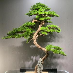 Plantes et arbres artificiels <span class=keywords><strong>de</strong></span> grande taille <span class=keywords><strong>de</strong></span> haute qualité, tronc d'arbre <span class=keywords><strong>en</strong></span> <span class=keywords><strong>bois</strong></span> <span class=keywords><strong>de</strong></span> pin artificiel à vendre - Product Image 4