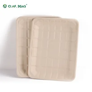 Disposable Tableware Environmental Protection Bagasse Rectangle Tray