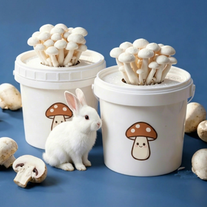1LFactory Vente en gros de culture de semences de champignons perforées de qualité alimentaire pour la culture de champignons dans des bouchons en spirale dans des seaux en plastique ronds - Product Image 1