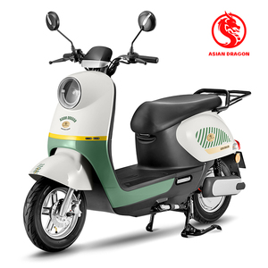Motocicletta Elettrica da Carico per Impieghi Gravosi, Potenza 1000W, Design con Ampio <span class=keywords><strong>Spazio</strong></span>, Display LED Intelligente, Lunga Autonomia 60km/h - Product Image 1