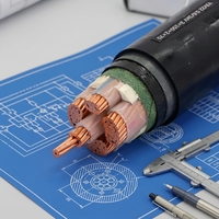 Cable de bajo voltaje 4 núcleos 25mm 35mm 50mm 95mm2 120mm PVC/XLPE aislado cobre alambre de acero blindado Cable eléctrico de energía