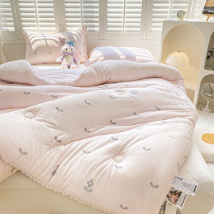 Bán Buôn Nữ Hoàng Kích Thước Sợi Nhỏ Làm Đầy <span class=keywords><strong>Comforter</strong></span> Da Thoáng Khí Thân Thiện Màu Hồng Trọng Lượng Nhẹ Chăn Nhiệt Sợi Chăn - Product Image 6