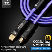 Câble Audio Hifi USB type-A à type-B OCC plaqué argent mâle à mâle câble USB pour mélangeur ordinateur carte son A-B C-B câble de données
