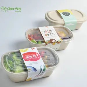 SenAng05 Factory Direct Sale Shallow 3 Compartment Tray Two Cell Container 800Ml Sugarcane Pulp Reusable Lunch Box