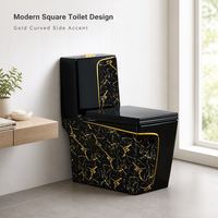 WC en céramique monobloc noir moderne en marbre, à chasse d'eau double (siphonique et à pression), à poser au sol, pour salle de bain, vente en gros directe usine