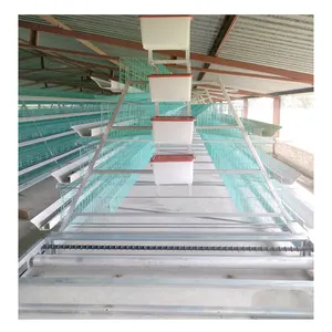 Hot sale commercial poultry farming equipment automatic layer chicken cage