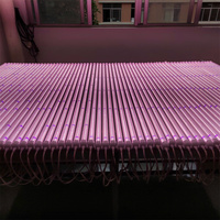 Yybrite-lampe de croissance led T8 uv, 2 pièces, éclairage horticole, industriel/commercial, pour culture de plantes, serre/chambre de culture lumineuse