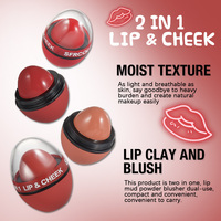 Rouge à lèvres multi-usages à fleurs séchées changeant de couleur, 8g, 12 pièces, imperméable, longue tenue, respirant, fini mat velours