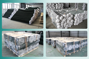 चीनी कारखाने आउटलेट सस्ता 12 गेज उच्च तन्यता हीरा आकार गैल्वेनाइज्ड चेन लिंक सुरक्षा गेट के लिए कस्टम विनिर्देश - Product Image 5