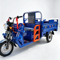 Kart électrique tout-terrain 750W 48V pour adultes avec batterie 20Ah, moteur BLDC, transmission par arbre, buggy des dunes, utilisation en extérieur, 70 km/h, charge 200 kg