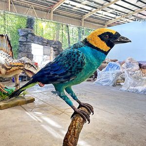Afrika kuşları-sergi için özelleştirilmiş Animatronic safran-crowned tanbird kuş - Product Image 2