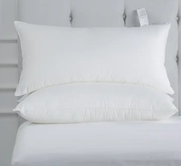 Intercontinental Hotel Grade Oreiller cervical Meilleure promotion de la marque Nouvelles tendances Motif solide Vente en gros