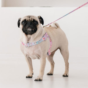 PororoPet Loopy Puppy Vest <b>Leash</b> Set Adjustable Cross Back Design Breathable Mesh Harness with <b>Leash</b> for Small Medium Dogs <b>Pet</b> - Product Image 5