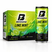 Boissons Énergétiques Saveur Menthe Citronnelle, Boissons Fonctionnelles, Eau Gazeuse Rafraîchissante, Fournisseur pour Supermarchés et Bars