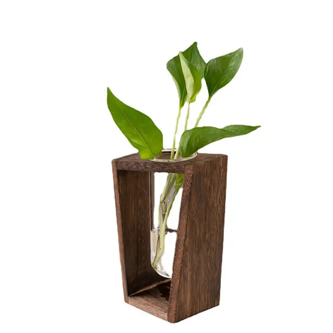 Großhandel transparente Glas Reagenzglas Vase rustikale hydrophile Pflanzen Vasen für Blumen Einzigartiges Holz für Wohnkultur