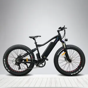北美市场电动自行车36V 10AH锂电池250w 750W后无刷轮毂电机山地电动自行车