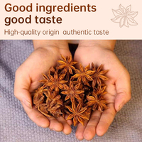 Anis étoilé séché 100% pur en granulés pour épices, herbes, produits de haute qualité en provenance du Guangxi, Chine, livraison directe