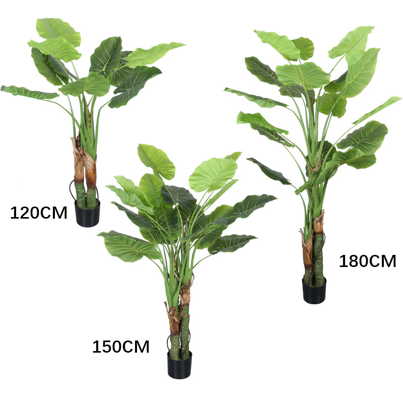 Alocasia Leaf 14#