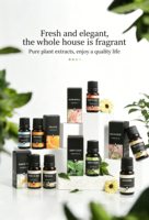 Huile Essentielle en Gros 10ml pour Aromathérapie Naturelle, Huile à Bille Anti-Stress pour le Sommeil et l'Énergie, Diffuseur à Bâtonnets