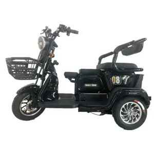 Professional Manufacture New Model 3 Wheel Electric Tricycles Trike Scooter