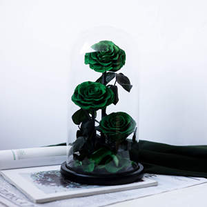 Vente en gros <span class=keywords><strong>La</strong></span> <span class=keywords><strong>Belle</strong></span> <span class=keywords><strong>et</strong></span> <span class=keywords><strong>la</strong></span> Bête Roses éternelles <span class=keywords><strong>Prince</strong></span> 15*30 Rose conservée dans une boîte cadeau en verre pour petite amie - Product Image 2