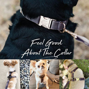 Ensemble collier et laisse pour chien personnalisé gris foncé Veet, nœud papillon, gravure personnalisée du nom de l'animal, boucle en métal, cadeau d'anniversaire pour chiot, livraison gratuite - Product Image 6