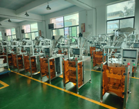 Machine d'emballage automatique multifonctionnelle en acier inoxydable à haute précision pour le remplissage de poudre par scellage latéral, pour applications alimentaires et chimiques
