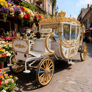Calèche électrique blanche pour mariage, transport spécial, calèche de tourisme extérieur - Product Image 3
