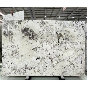 Dalle de quartzite Patagonia Brésil - Moderne, polie, imperméable, grande dalle pour utilisation hôtelière, projet de décoration hôtelière en gros - Product Image 1