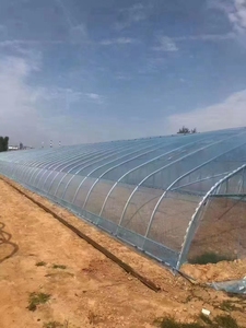 Grande pellicola trasparente ispessita per serra impermeabile foglio di plastica per agricoltura Full Roll attrezzatura per serra PEP - Product Image 5