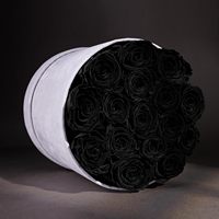 17 Zwarte Eeuwig Houdende Rozen in Ronde Luxe Suède Doos - Cadeau voor Verjaardag, Moederdag, Valentijnsdag, Jubileum