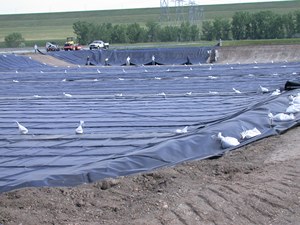 Geomembrana EPDM Anti-UV de 0,2-2,5mm, Membrana Geotécnica Anti-Infiltração para Isolamento de Campo de Lixiviação - Product Image 3