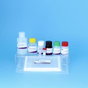 구제역 O형 <span class=keywords><strong>ELISA</strong></span> 키트 | 고급 액상 차단 분석 | 수의사용 96T/키트 - Product Image 5