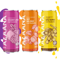 Vente en gros OEM de boissons vietnamiennes au thé kombucha à bon prix Boisson gazeuse aux fruits gingembre Ingrédients naturels Fabriqué Vietnam