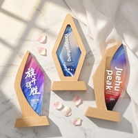 Trophée en cristal lumineux personnalisable avec base en bois de hêtre pour événements de remise de prix, champions, employés exceptionnels, récompenses sportives annuelles