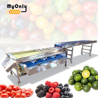 Mijn automatische ui-sorteringsmachine, aardappel-, sinaasappel-, citroen- en tomaten-sorteringsmachine, fruitgrootte-sorteringsmachine, wasmachine, prijs