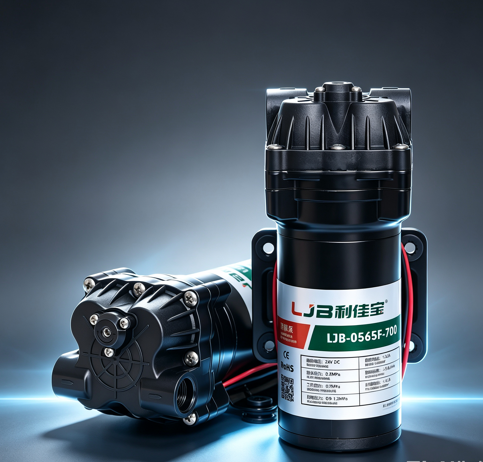 LJB0565F 700G DC Motor 24V High Pressure Silent Booster Pump OEM for Drinking Water Treatment & Coffee Machine · image 2