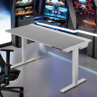 Table de jeu pour ordinateur de course personnalisée de grande taille avec éclairage RVB pour le bureau à domicile, bureau de jeu avec LED