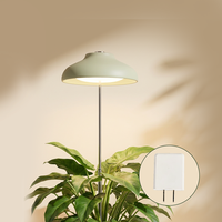 Lampe de culture LED pour plantes avec minuteur 5W 4000K Spectre complet Hauteur réglable Soutien à la floraison Adaptateur secteur OEM/ODM disponible Garantie 2 ans