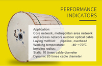 APT Heavy Duty Outdoor FTTH Fiber Optic Cable 2-48 Core with 5-Year Warranty 3G/4G/WiFi Compatible