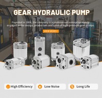 Vente en gros depuis les usines chinoises : Pompe à engrenages CBK de haute qualité, Pompe à engrenages hydraulique pilote pour engins de construction