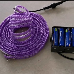 Bande lumineuse suspendue <span class=keywords><strong>EL</strong></span> avertissement temporaire corde lumineuse <span class=keywords><strong>el</strong></span> <span class=keywords><strong>wire</strong></span> - Product Image 2