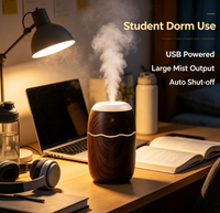 Humidificateur ultrasonique de bureau mini, alimentation USB, fonctionnement silencieux, diffuseur d'arômes, options multicolores, chambre, hôtel, fourni par l'usine