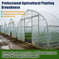 Grande Serre Commerciale Moderne Multi-voûtes Type Venlo en Polycarbonate Préfabriquée – Système Complet pour l'Agriculture avec Plaques PC Vertes