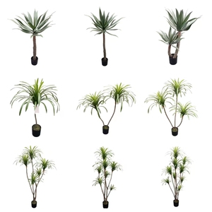 Trong nhà cao nhân tạo Yucca <span class=keywords><strong>Tree</strong></span> với Pot cho phòng khách trang trí - Product Image 5