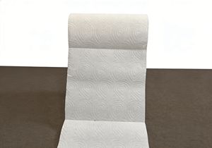 Großhandel Einweg Umweltfreundliches 2/3-lagiges Haushalts-Küchenpapier aus Natürlicher Bambusfaser Lebensmittelechtes Öl- und Wasserbeständiges Rollenpapier - Product Image 5